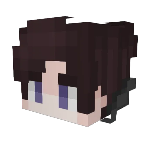 VinSlip Minecraft avatar head, 3D render