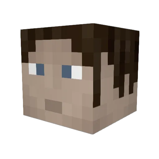 Vin_Stav Minecraft avatar head, 3D render