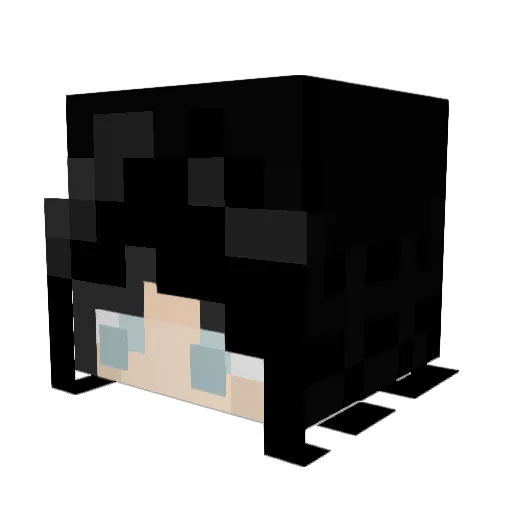 Vina_Smith1227 Minecraft avatar head, 3D render