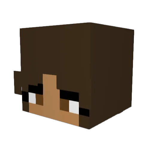 Vinaguptaa Minecraft avatar head, 3D render