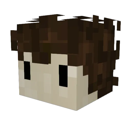 Vinati Minecraft avatar head, 3D render
