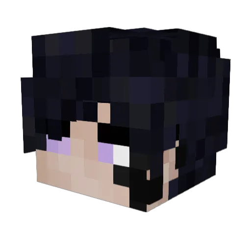 Vinay246 Minecraft avatar head, 3D render