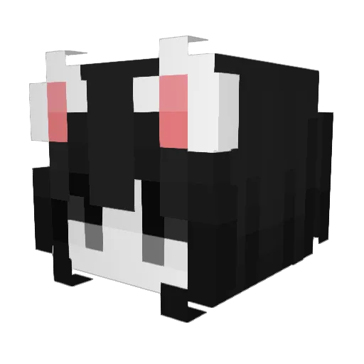VincasKudirka Minecraft avatar head, 3D render