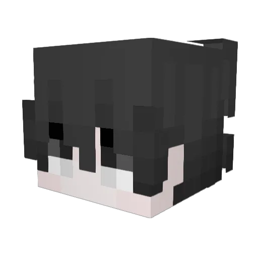 VinceP1880 Minecraft avatar head, 3D render