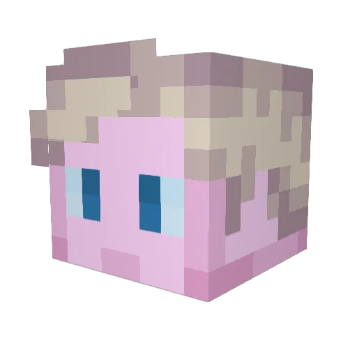 VinceTheEternal Minecraft avatar head, 3D render