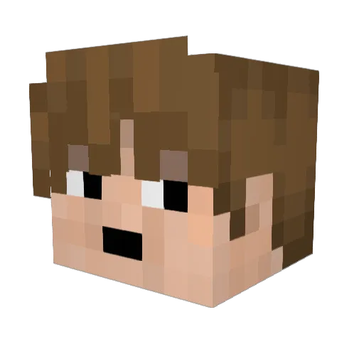 Vince_star Minecraft avatar head, 3D render