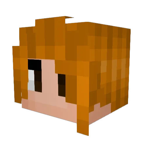 VincentDePol Minecraft avatar head, 3D render