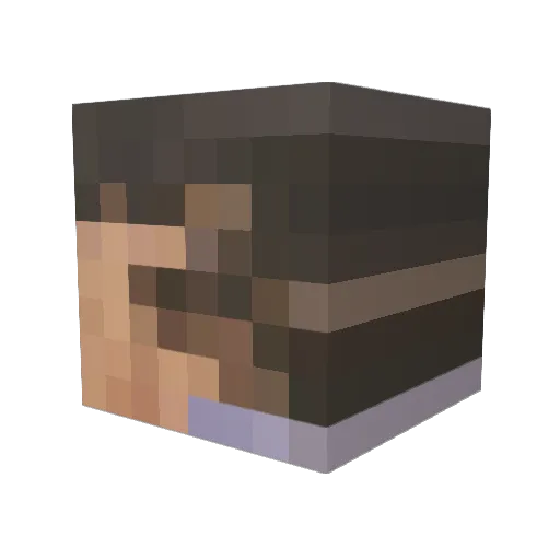 VincentLasalle Minecraft avatar head, 3D render