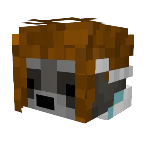 Vincentpolis Minecraft avatar head, 3D render