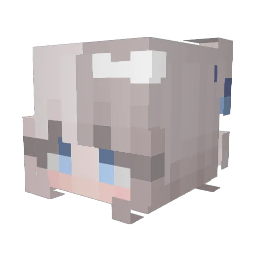 Vinci_Su Minecraft avatar head, 3D render