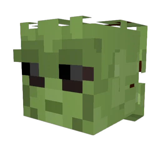 Vincinus1 Minecraft avatar head, 3D render
