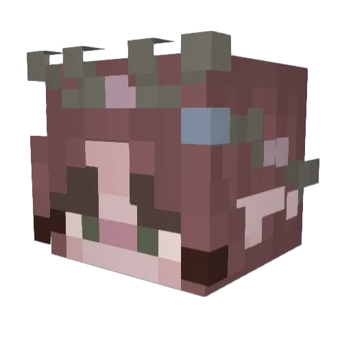 Vindla Minecraft avatar head, 3D render