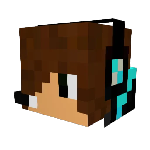 Vinebr0 Minecraft avatar head, 3D render