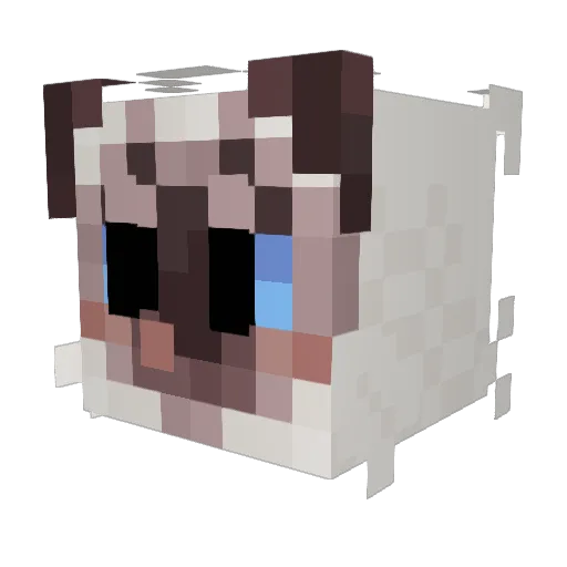 Vinegarette Minecraft avatar head, 3D render