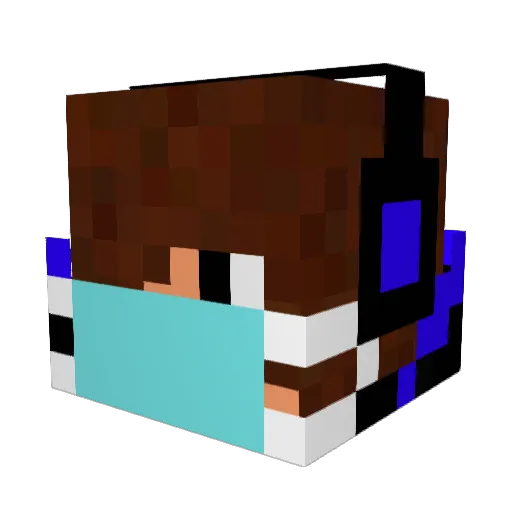 Vinew_ Minecraft avatar head, 3D render