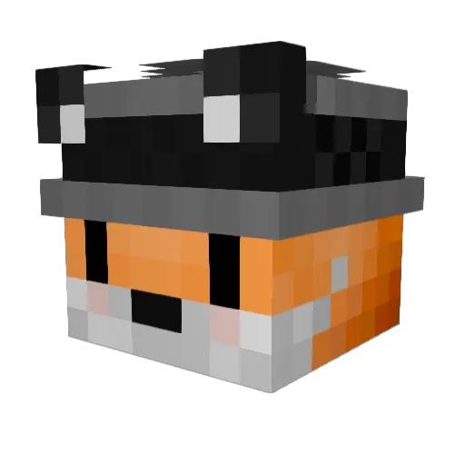 Vineyard24 Minecraft avatar head, 3D render