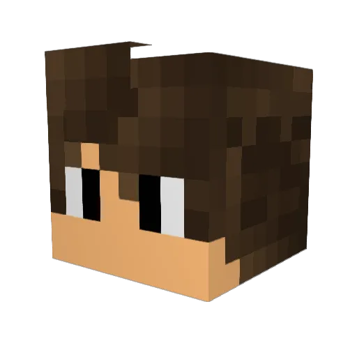 Vinez1 Minecraft avatar head, 3D render