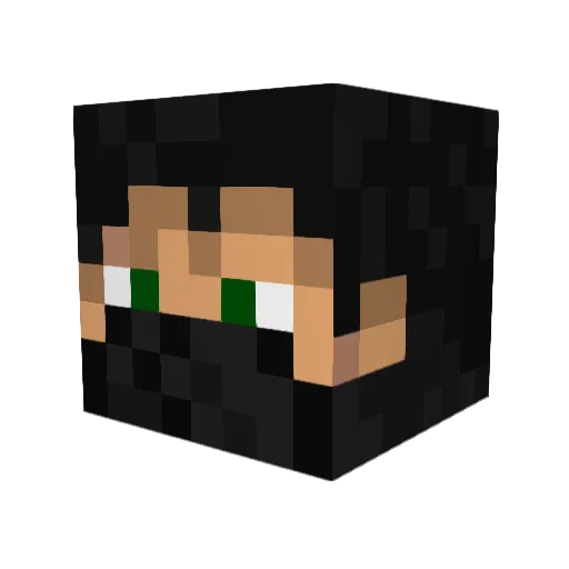 Vingvega Minecraft avatar head, 3D render