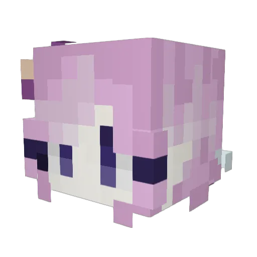 Vinhes17 Minecraft avatar head, 3D render