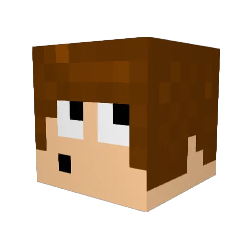 Vini20_messaggi Minecraft avatar head, 3D render