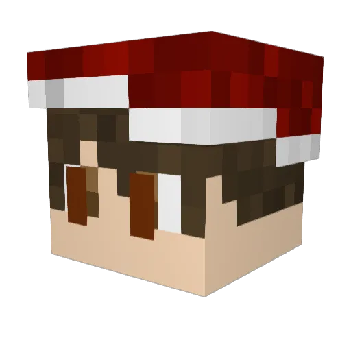 ViniJapah Minecraft avatar head, 3D render