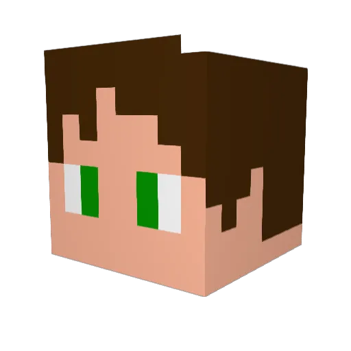 ViniMorais Minecraft avatar head, 3D render