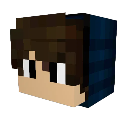 ViniWeeber Minecraft avatar head, 3D render