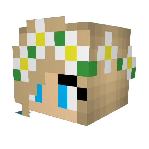 ViniaNinja Minecraft avatar head, 3D render