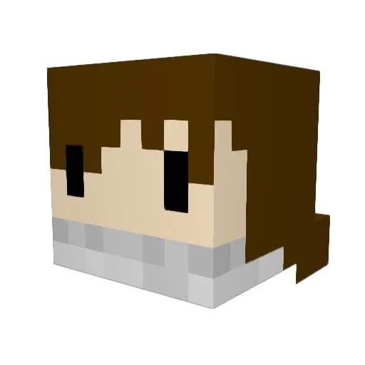 Viniblima2010 Minecraft avatar head, 3D render