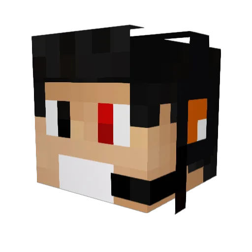 Vinicius270 Minecraft avatar head, 3D render