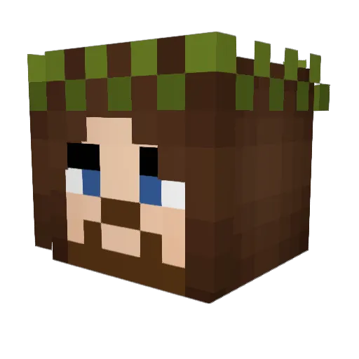 ViniciusDDM Minecraft avatar head, 3D render