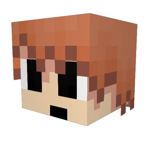 ViniciusPx Minecraft avatar head, 3D render