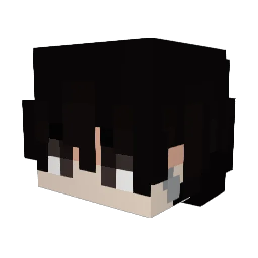 Viniciuus Minecraft avatar head, 3D render