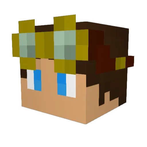 Vininn126 Minecraft avatar head, 3D render
