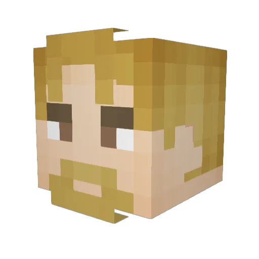 Vinkegat Minecraft avatar head, 3D render