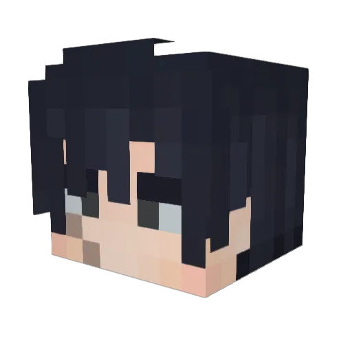 Vinly_PL Minecraft avatar head, 3D render