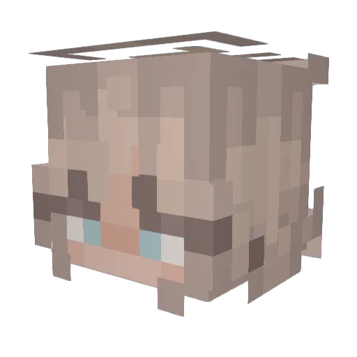 Vinmoe Minecraft avatar head, 3D render