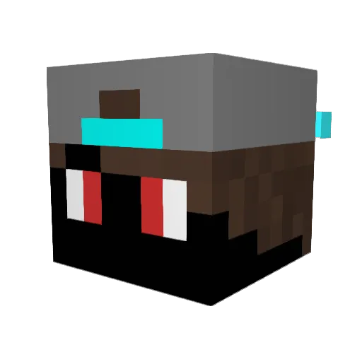 VinniBjj_ Minecraft avatar head, 3D render
