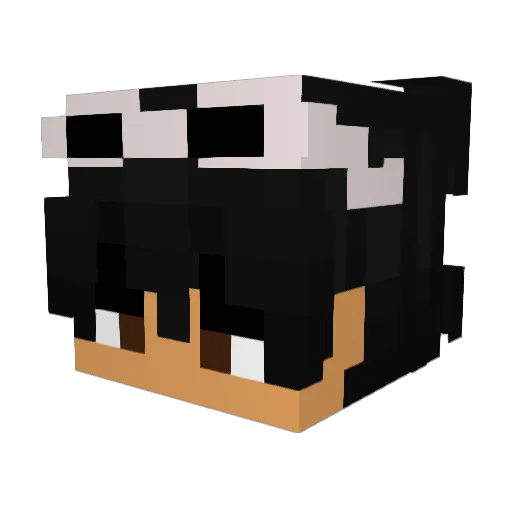 VinniPo Minecraft avatar head, 3D render