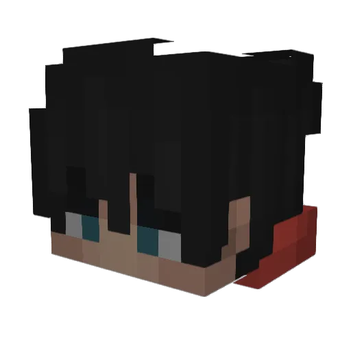 Vinni_01 Minecraft avatar head, 3D render