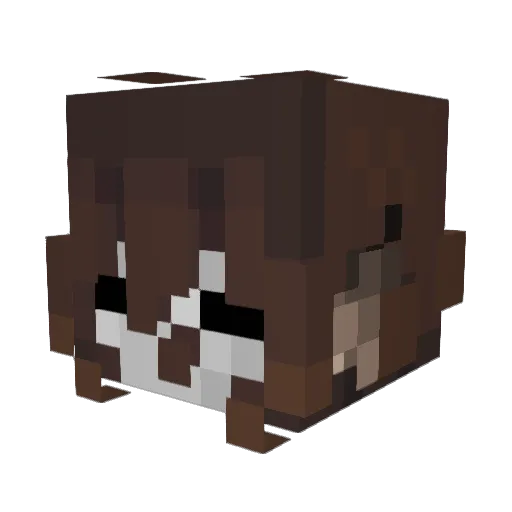 Vinnie_Infinity Minecraft avatar head, 3D render