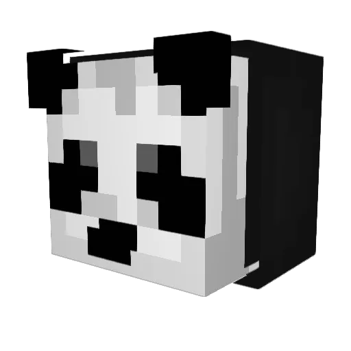 VinnyS98 Minecraft avatar head, 3D render