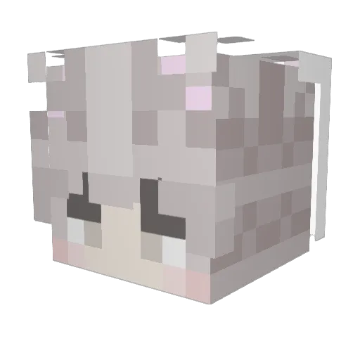 Vinny_ERROR404 Minecraft avatar head, 3D render