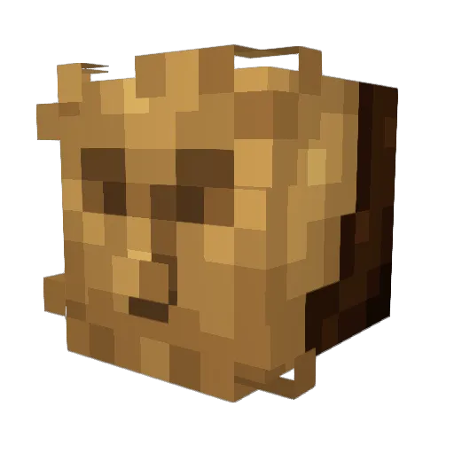 Vinon785 Minecraft avatar head, 3D render