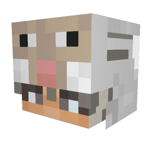Vinsainty Minecraft avatar head, 3D render