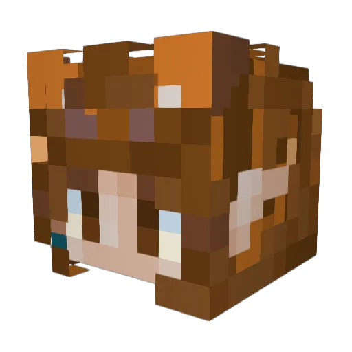 Vinschop Minecraft avatar head, 3D render