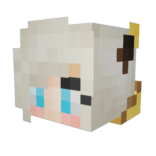 Vinsideous Minecraft avatar head, 3D render