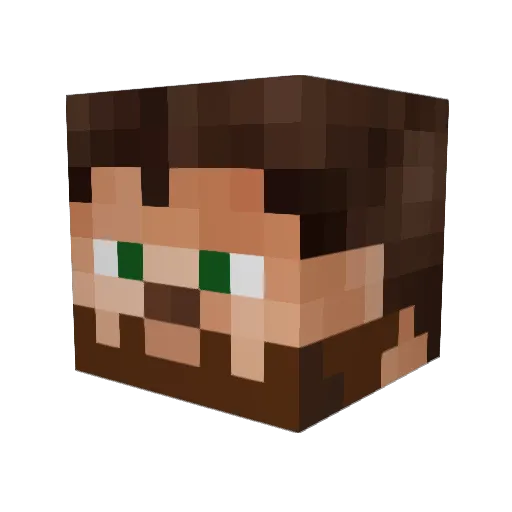 Vinsk8 Minecraft avatar head, 3D render