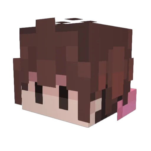 Vinterfr0st Minecraft avatar head, 3D render