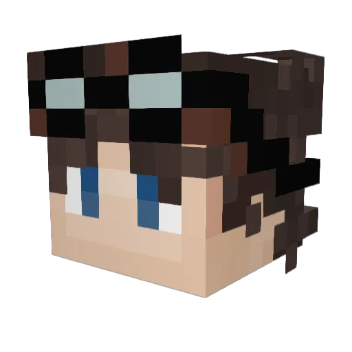 Vinvii_fr Minecraft avatar head, 3D render